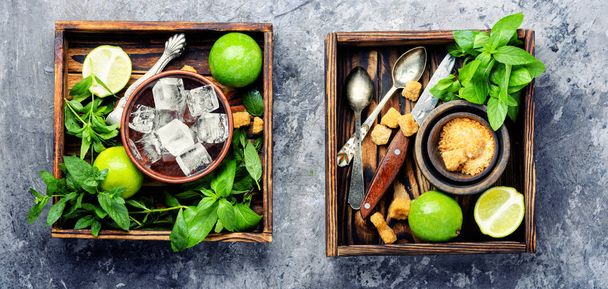 Mojito összetevők. Lime, menta és a cukornád Gyöngyi - Fotó, kép