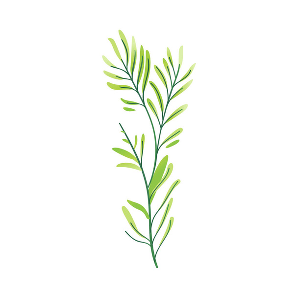 Vector cartoon abstract green plant icon - Vector, imagen