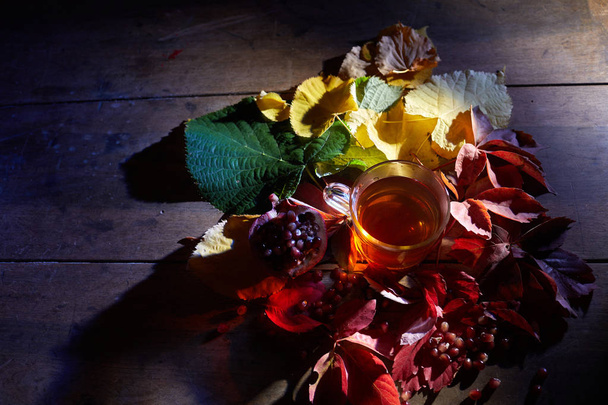 Taza de té sobre fondo de otoño
 - Foto, imagen