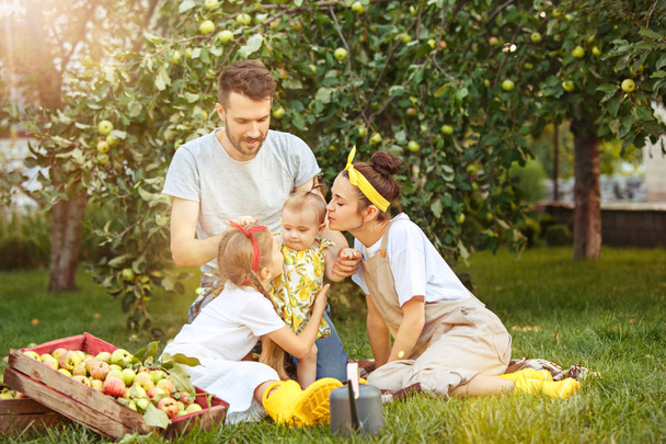The happy young family during picking apples in a garden outdoors - Photo, image