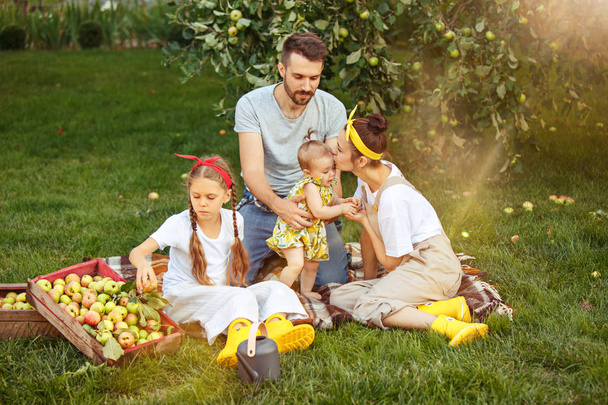 The happy young family during picking apples in a garden outdoors - Foto, Imagem