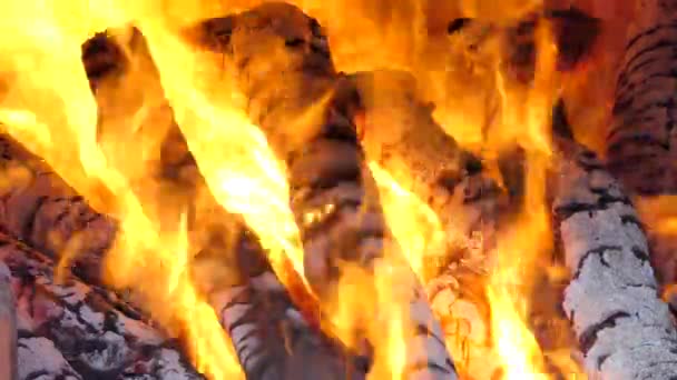 Gros plan de la flamme brillante du charbon et du bois de chauffage dans le four. milieux abstraits
 - Séquence, vidéo