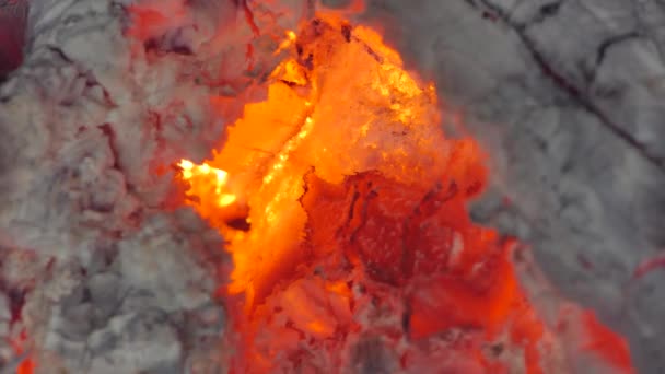 Nahaufnahme glühender Flammen aus Holzkohle und Brennholz im Ofen. Abstrakte Hintergründe - Filmmaterial, Video