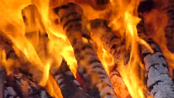 Close-up van gloeiende vlammen van houtskool en brandhout in oven. abstracte achtergronden - Video