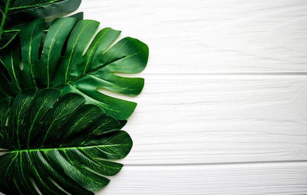 Monstera green leaves on a wooden white background - Photo, image
