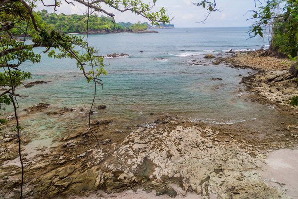 De kust van de zee in Nationaal Park Manuel Antonio, Costa Rica - Foto, afbeelding