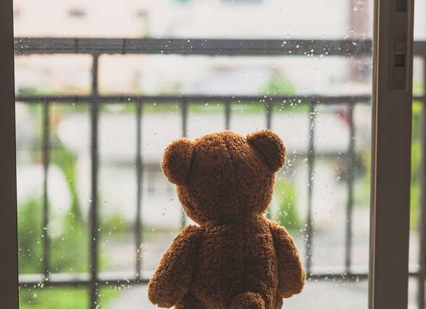 einsamer Teddybär im Regen. - Foto, Bild