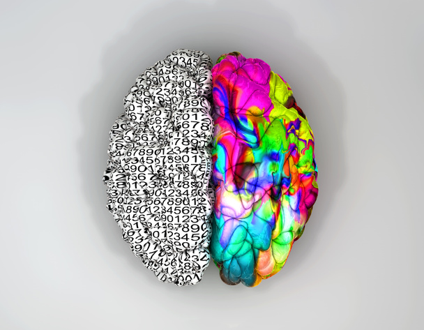 左と右の脳の概念トップ - 写真・画像