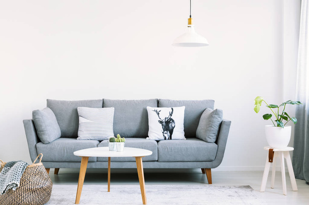 Simple interior of a bright living room with white pillows on a gray sofa next to a stool with a monstera plant on it. Real photo - Valokuva, kuva