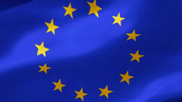 Flaga europejska jest oficjalnym symbolem dwóch oddzielnych organisationsthe Rady Europy i Unii Europejskiej (UE). - Materiał filmowy, wideo