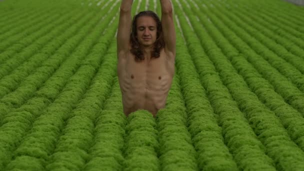 Hombre joven vegano con pelo largo haciendo yoga en el campo de ensaladas (vista frontal
) - Metraje, vídeo