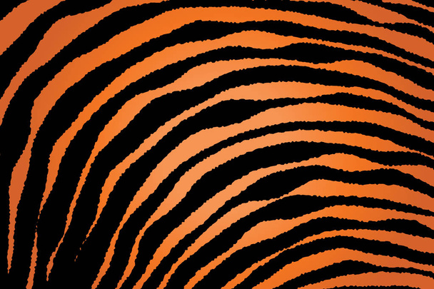 Close up Stripe Animal Pattern - Vector, Image