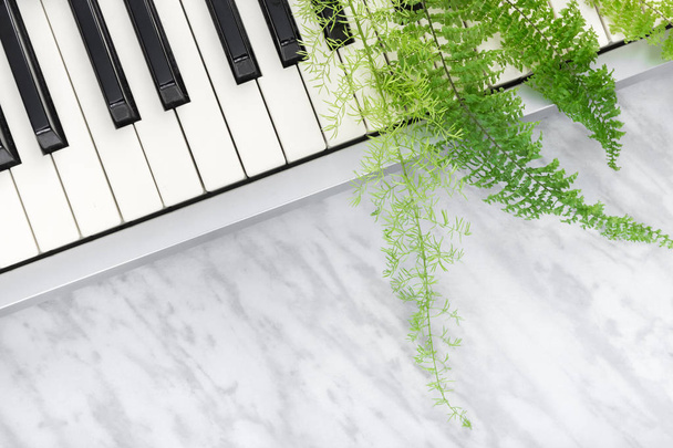 Звуки природи. Електричні клавіші піаніно та зелене листя папороті на мармуровому фоні
. - Фото, зображення