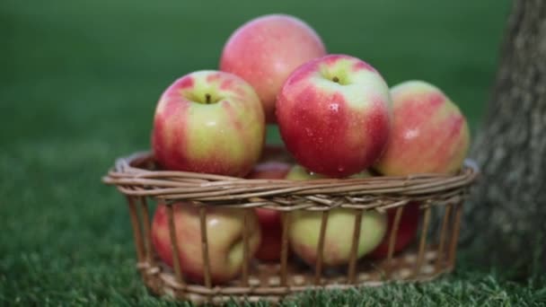 schöne Äpfel auf dem Gras. - Filmmaterial, Video