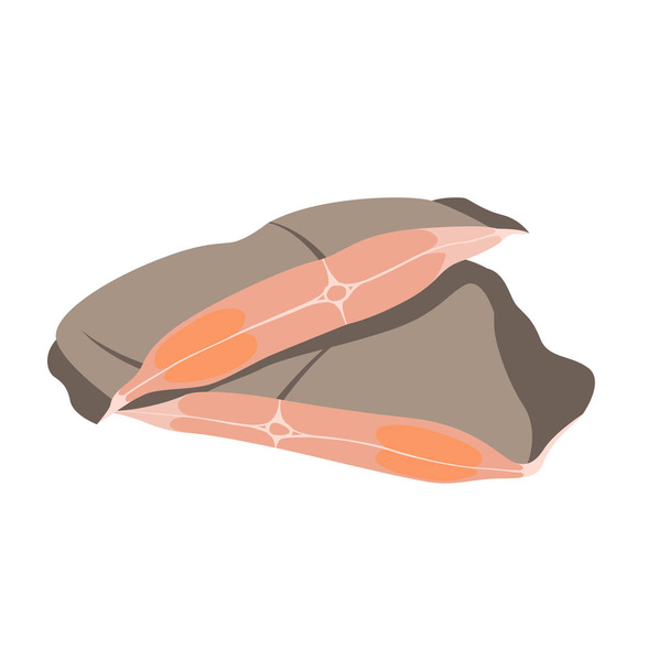 pisi balığı eti Biftek vektör çizim düz stil - Vektör, Görsel