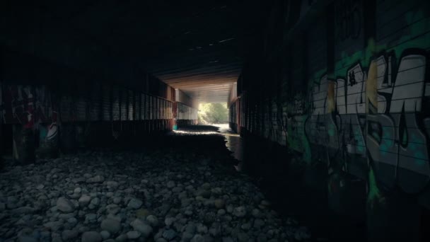 Διακινούνται μέσω Grungy υπόγεια διάβαση με γκράφιτι - Πλάνα, βίντεο