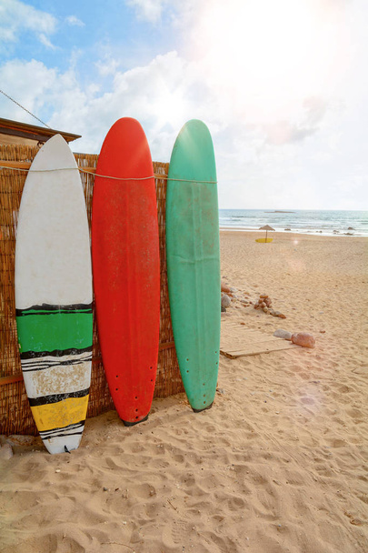 Surfboards at Praia do Amado, Beach and Surfer spot, Algarve Portugali Europe
 - Valokuva, kuva