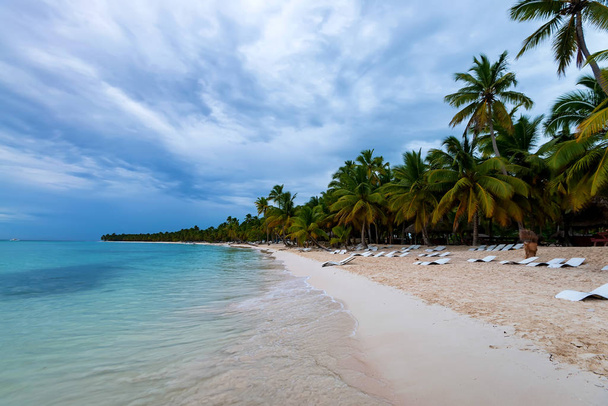 Valtameri ja trooppinen rannikko Dominikaanisessa tasavallassa
 - Valokuva, kuva
