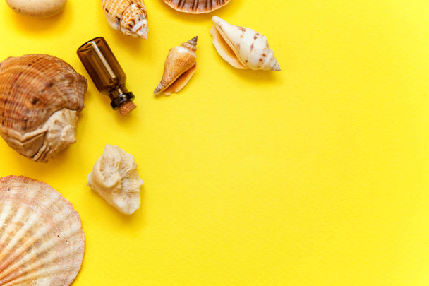 Tropical Background. Seashells and glass bottle on yellow colorful trendy modern fashion background. Vacation travel summer weekend sea adventure trip concept - Photo, Image