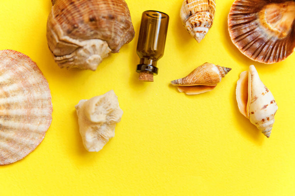 Trópusi háttér. Tengeri kagylókból és üveg háttér sárga trendi színes modern divat. Nyaralás utazás nyári hétvégén tengeri kaland utazás fogalma - Fotó, kép