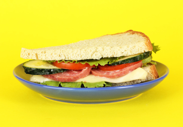 Sandwich on plate on yellow background - Photo, image