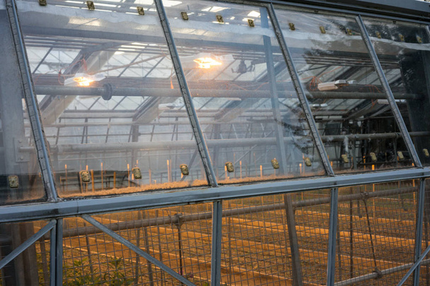 maison verte vue extérieure avec lumières allumées et construction métallique avec des plantes à l'intérieur
 - Photo, image