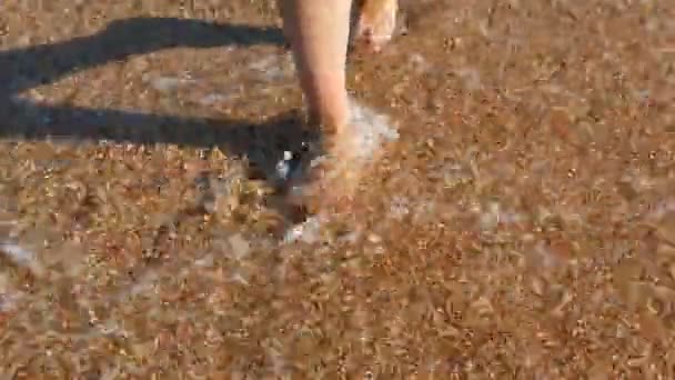 4 k. γυναικεία πόδια με κόκκινο πεντικιούρ περπατώντας στην παραλία της θάλασσας. Πιτσιλίσματα νερού στη θάλασσα - Πλάνα, βίντεο