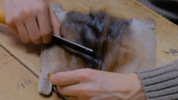 Skinner pracujący ze skórą futra norek - Materiał filmowy, wideo