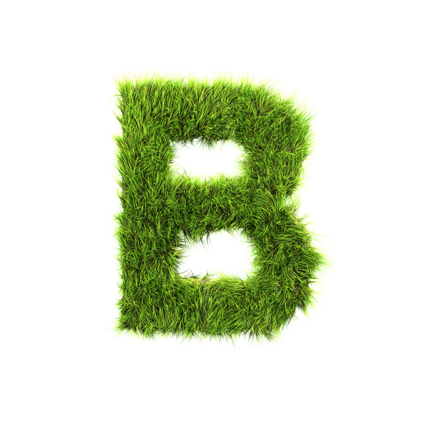 Grass letter - B - Upper case - Foto, afbeelding