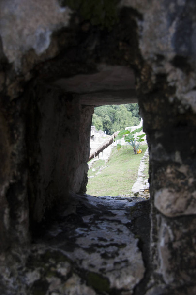 Archeologická oblast Palenque - Fotografie, Obrázek