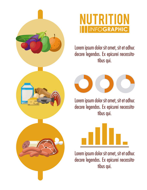 Nutrición e infografía de alimentos
 - Vector, Imagen