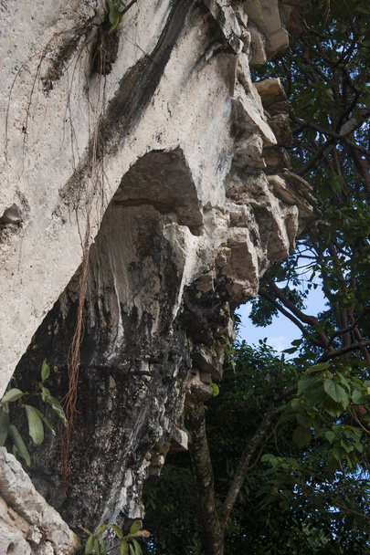 Archeologická oblast Palenque - Fotografie, Obrázek