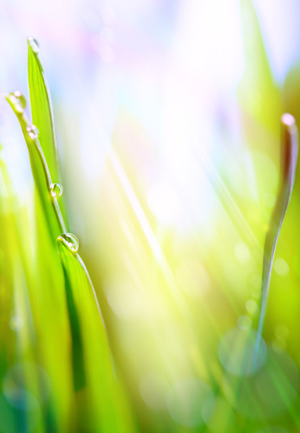 Kunst grün Frühling abstrakt Licht Hintergrund - Foto, Bild