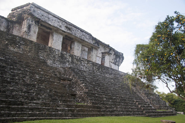 Zone archéologique de Palenque
 - Photo, image