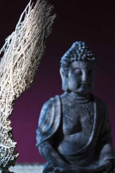 сидячого Будди
 - Фото, зображення