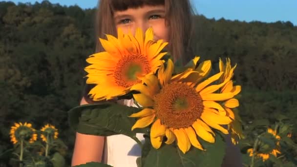 een schattig klein meisje ruiken de zonnebloemen - Video