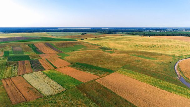 green fields during sunset. aerial shot with the drone - Fotó, kép