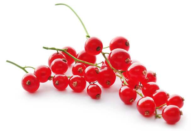 frische rote Johannisbeere auf weißem Hintergrund - Foto, Bild
