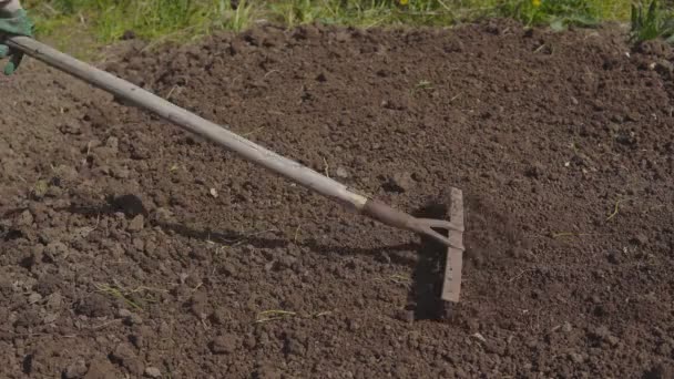 庭仕事の季節。播種用の土の準備 - 映像、動画