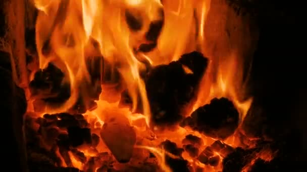Fuego ardiente en horno en forja, taller. Concepto de equipo herrero
 - Imágenes, Vídeo