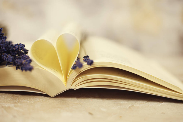 Heart shaped book pages - Photo, Image
