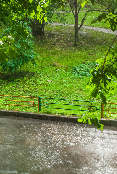 Yağmurda pencerenin bir sunshower veya kör yağmur dışında. Güneş parlar. Islak ağaçlar - Fotoğraf, Görsel