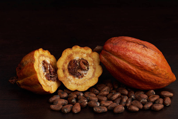 Сухие бобы какао
 - Фото, изображение