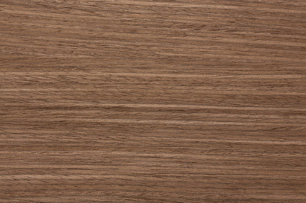 Fashionable nut veneer texture for your inteligent design.  High resolution photo. - Photo, Image