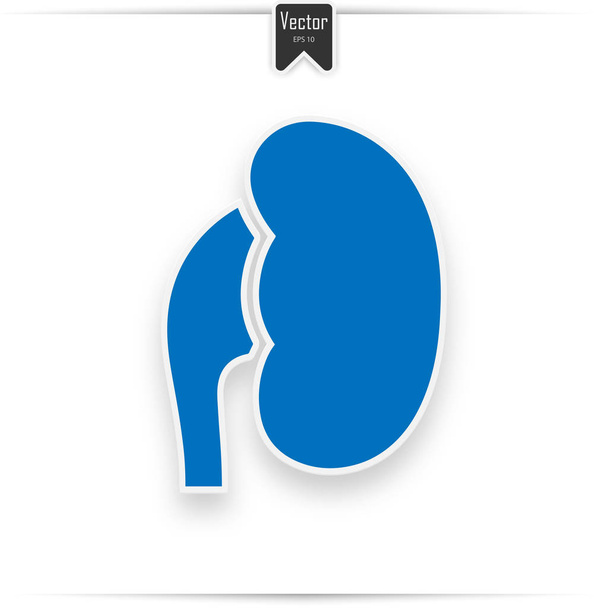 Human Organ Kidney Blue Flat Icon On White Background - Vector, Image