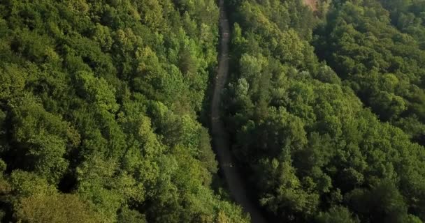 Russisch bos en bergen onder Blue Sky door luchtfoto Drone. Prachtige luchtfoto Drone Stock Footage van Zuid-Russische bos en bergen onder Blue Sky - Video
