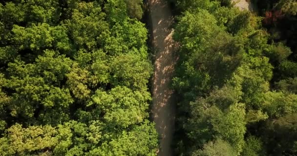 Orosz erdők és hegyek a légi dron kék ég alatt. Lenyűgöző légi Drone Stock Footage Dél orosz erdő és hegyek alatt kék ég - Felvétel, videó