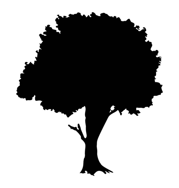 Un árbol fructífero genérico, baya azucarera
  - Vector, imagen