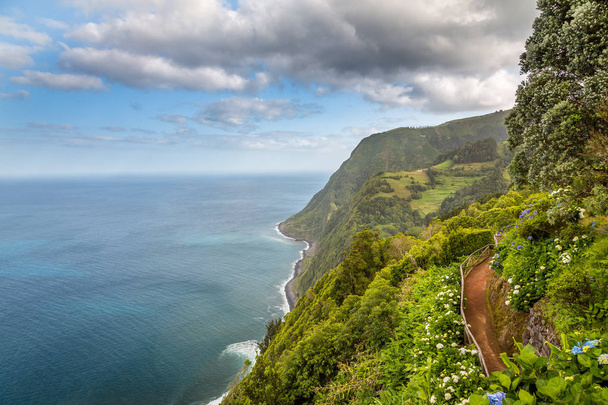 Фотография сделана на красивом острове С. Фалуэль, Азорские острова, Португалия
 - Фото, изображение