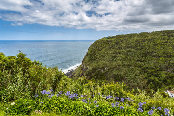 Photo taken in the beautiful island of S. Miguel, Azores, Portugal - Zdjęcie, obraz